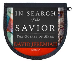 In Search of The Savior Vol. 1 Image