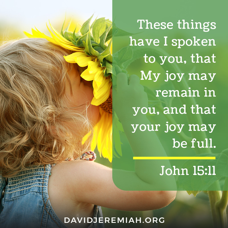 These things have I spoken to you, that My joy may remain in you, and that your joy may be full. - John 15:11