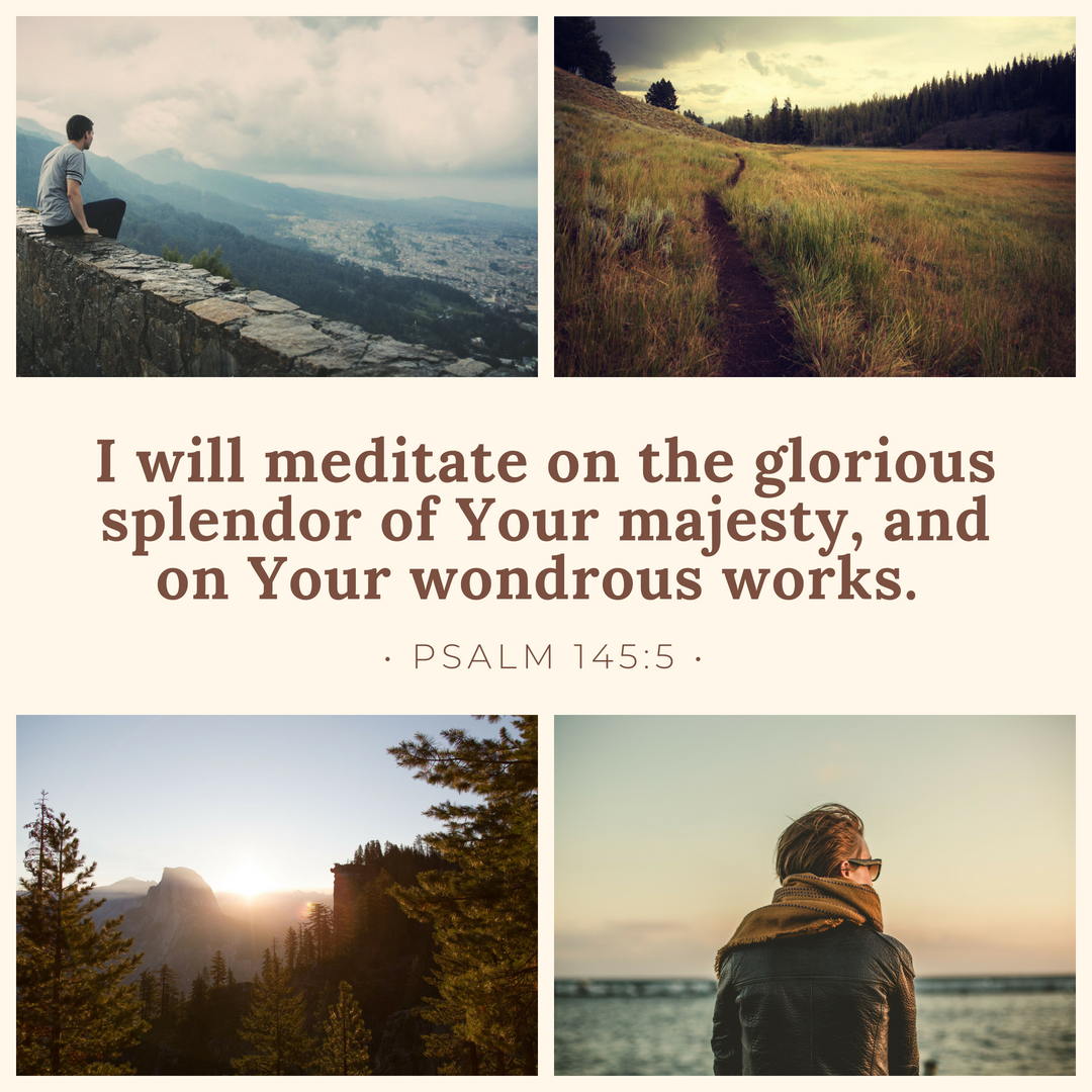 I will meditate on the glorious splendor of Your majesty, and on Your wondrous works. Psalm 145:5